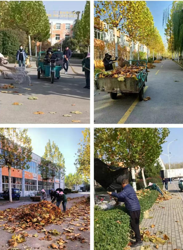 对标进步前辈促晋升 主动朝上进步谋成长—鲁南电商财产园踏实鞭策四时度使命4